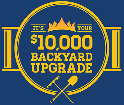 backyard-upgrade